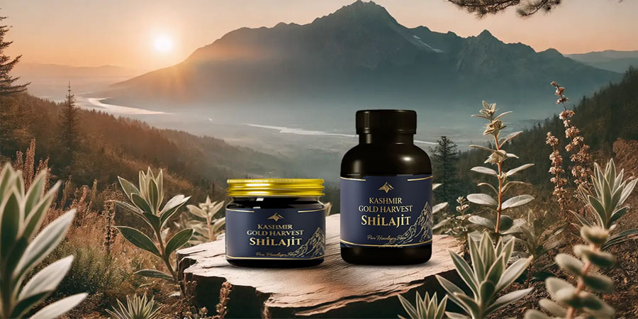 Why Take Shilajit in Winter?